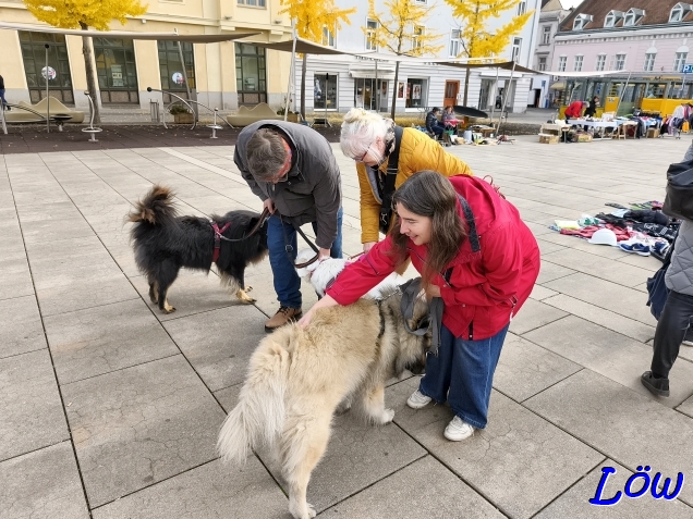 2.11.2025 - Treffen mit Lilly